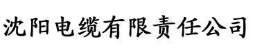 秋霞深夜影院电缆厂logo